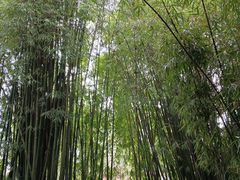 -翠湖公园