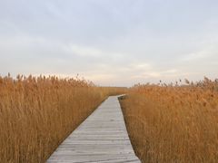 -野鸭湖国家湿地公园