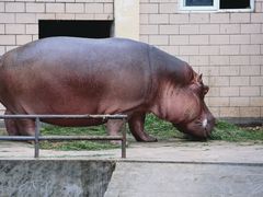 -合肥野生动物园
