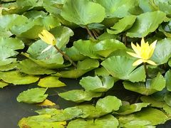 -苏州河梦清园环保主题公园