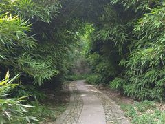 -镇江市南山风景名胜区竹林景区