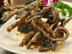 梁溪脆鳝-新聚丰菜馆(太监弄店)