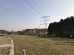 -九里河湿地公园