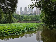 -龙头寺公园