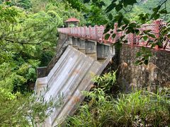 -广州白江湖森林公园