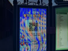 -荷兰花海