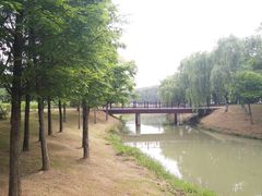 -尚贤河湿地