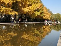 -玲珑塔公园
