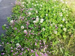 -白塘生态植物园