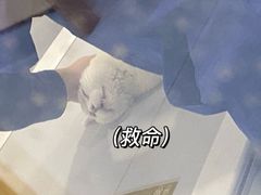 -萌兽医馆·犬猫专科·眼科中心·宠物医院(朝阳门分院)