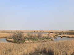 -盐城丹顶鹤湿地生态旅游区