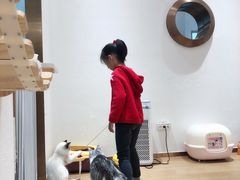-1013 PET SHOP精品宠物商店(丁香店)