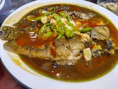 -呼吸森林·生态农庄农家乐私房菜