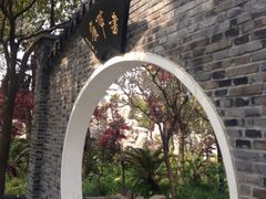 iphone_upload_pic-南汇桃花村