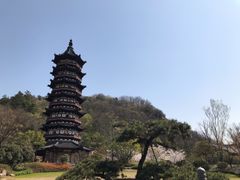 -牛首山文化旅游区