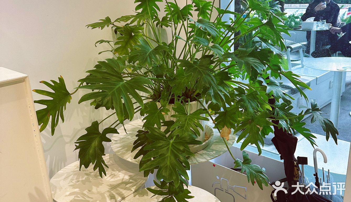 默迹咖啡 ｜清清爽爽的咖啡店，没有女孩纸不爱的吧
