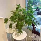 默迹咖啡 ｜清清爽爽的咖啡店，没有女孩纸不爱的吧