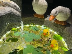 -轻语躺采·采耳·SPA(春熙路店)