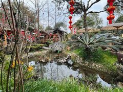 -青城甲(青城山店)