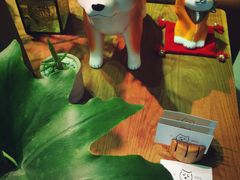 -柴务处·柴犬主题狗咖