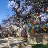 香格里拉小众朝拜寺庙｜本地藏民日常打卡，香火很旺