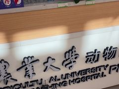 -中国农业大学动物医院