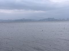 -洱海月湿地公园
