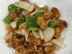 -邵年鸽(杨庄店)