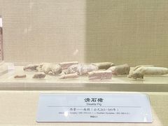 -鄂州市博物馆