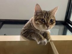 -一品格美术·中考高中成人美术培训