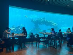 -海棠湾洲际-涛·海底餐厅·美人鱼·自助餐·海底隧道