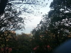 android_upload_pic-东湖磨山景区樱花园-停车场