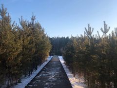 -北极村旅游风景区