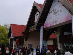 -上海海湾国家森林公园