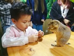 -藦茜花园宠物主题亲子互动体验馆(国顺东路店)