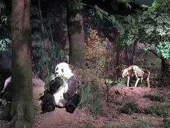 -湖南省地质博物馆