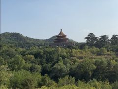 -磬锤峰森林公园