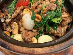 -粤珍轩·家宴·广式茶点(新城广场店)