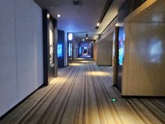 -博纳国际影城IMAX(中央大道店)
