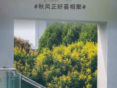 -武汉荟聚