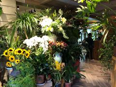 -春暖花开(西溪店)