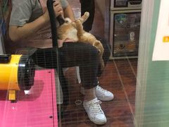 -宠物兔专门店(天丰利市场店)