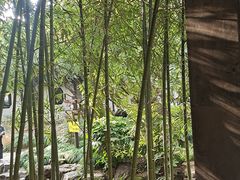-秋霞圃