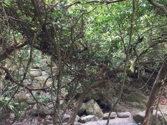 -清溪森林公园