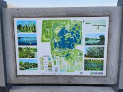-石家庄市植物园