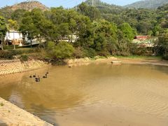 -泉州海丝野生动物世界