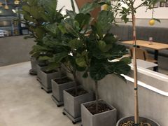 -石头先生的烤炉(济南领秀城贵和店)