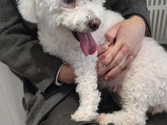 -关爱宠物医院·猫科中心·消化科(滨湖万达分院)