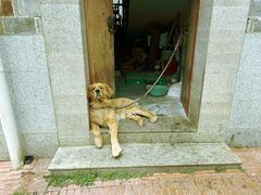 -武汉姚家山旅游景区