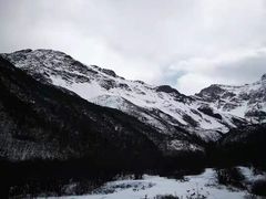 -黄龙山原始森林景区